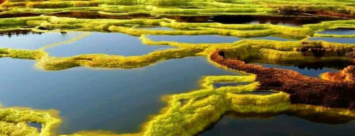 Danakil Depression