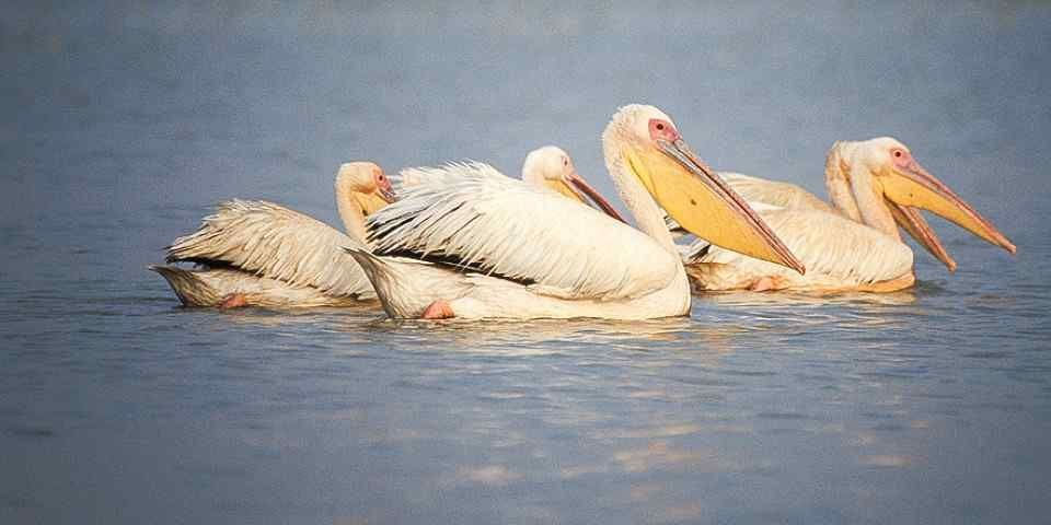 7-Day Northern Ethiopia